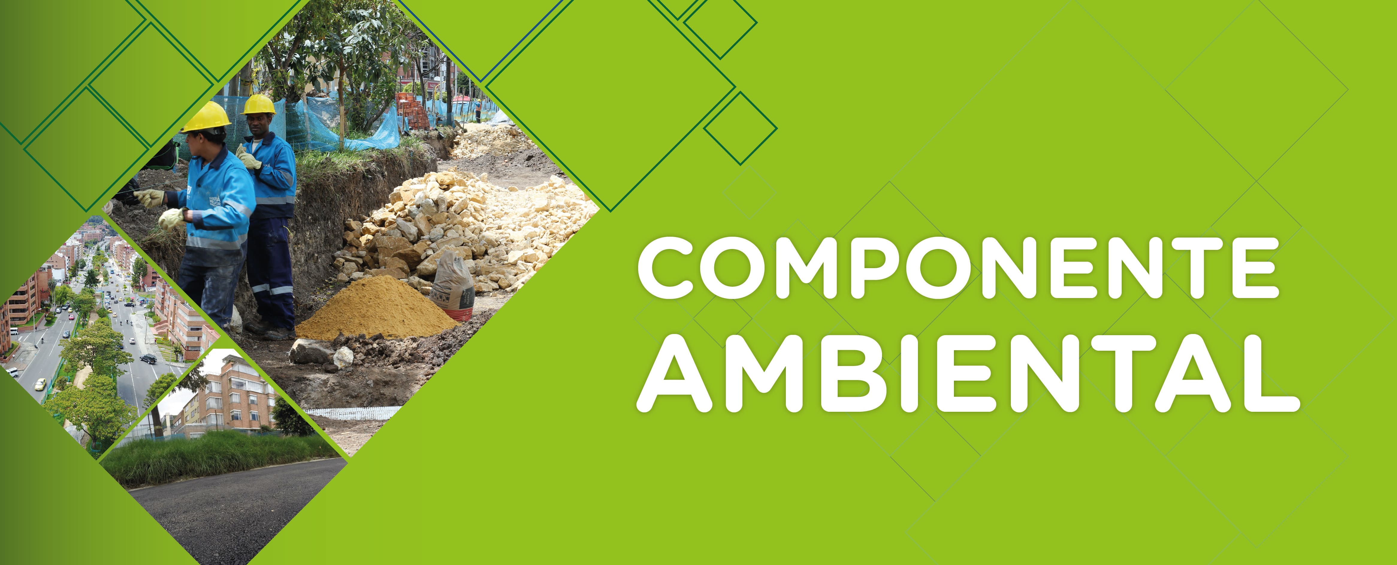 Componente Ambiental