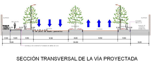 Sección transversal de la vía proyectada