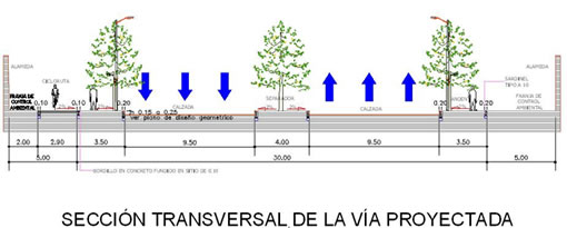 Sección transversal de la vía proyectada
