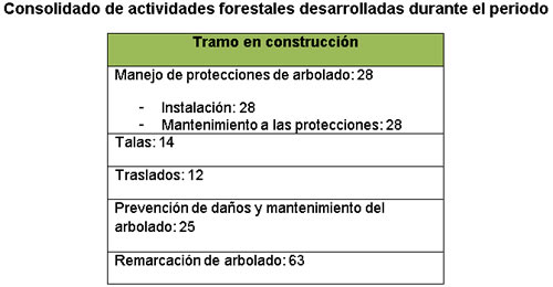 Tratamiento silvicultural