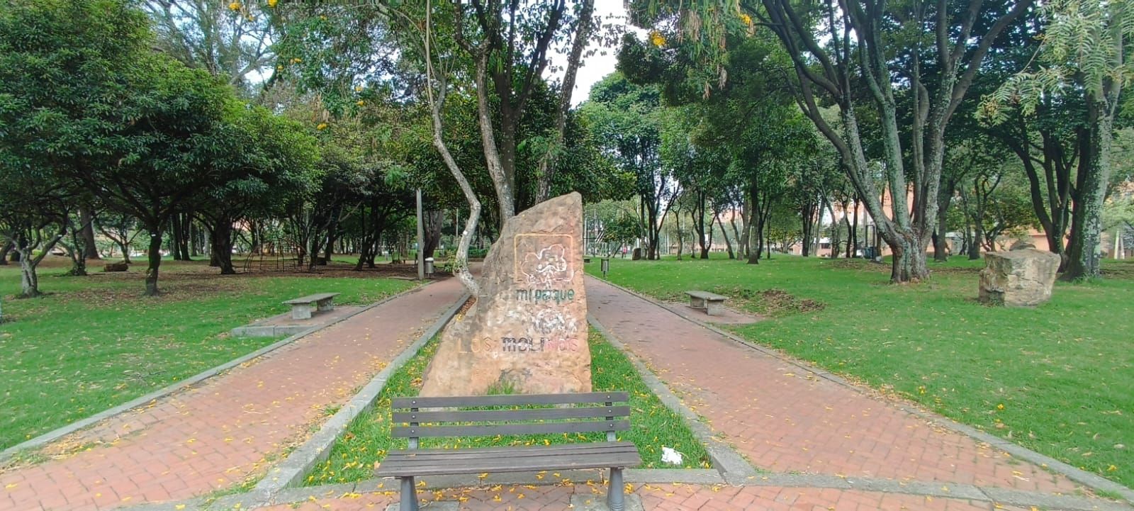 Imagen de Odoo y bloque de texto
