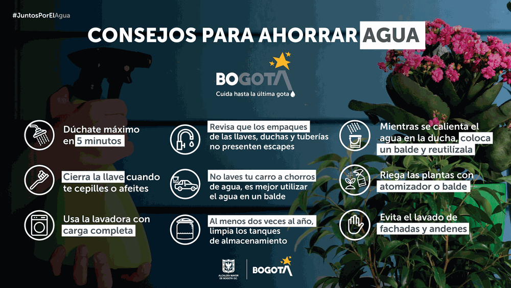 Odoo CMS - una imagen grande