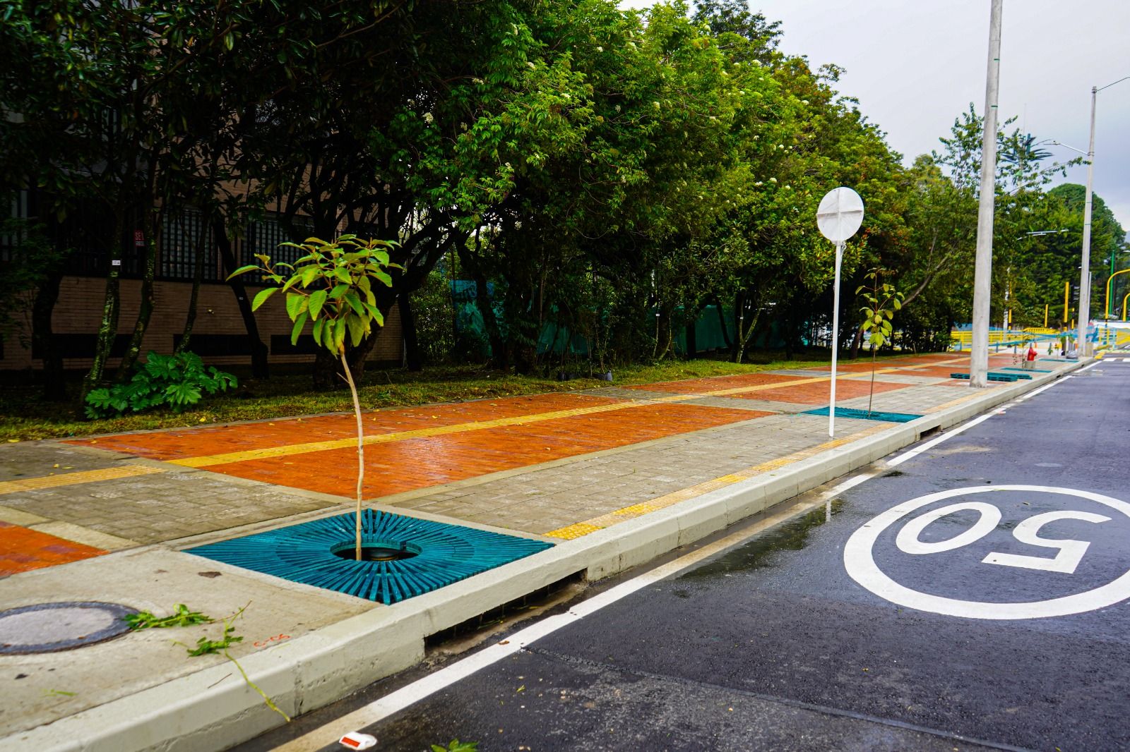 Los Sistemas Urbanos de Drenaje Sostenible no solo embellecen el entorno, también facilitan la gestión de aguas lluvia