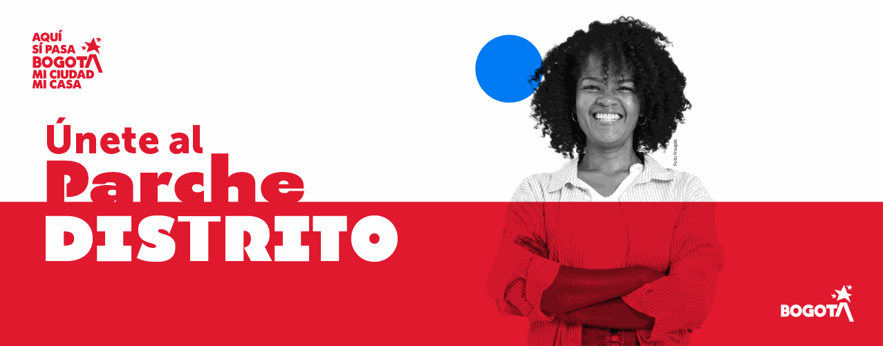 Odoo CMS - una imagen grande