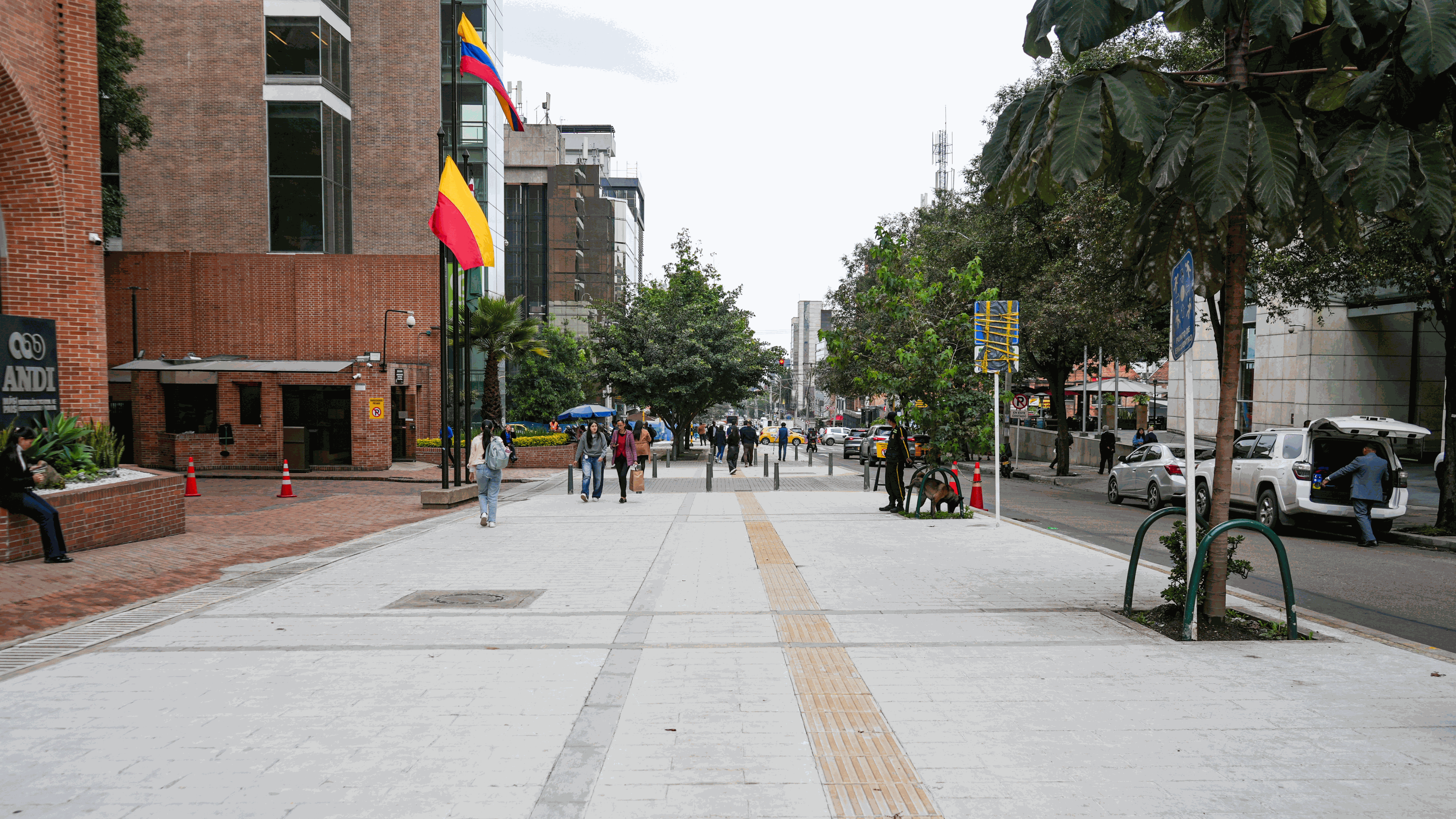 Avenida El Rincón